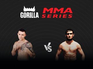 MMA Series Names. А.Лебедев vs Р.Ахмедов