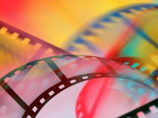 Птицы высокого полёта