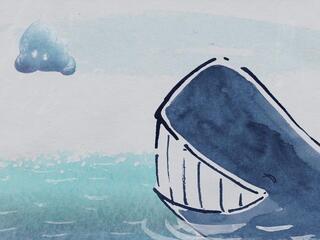 Тучка и кит