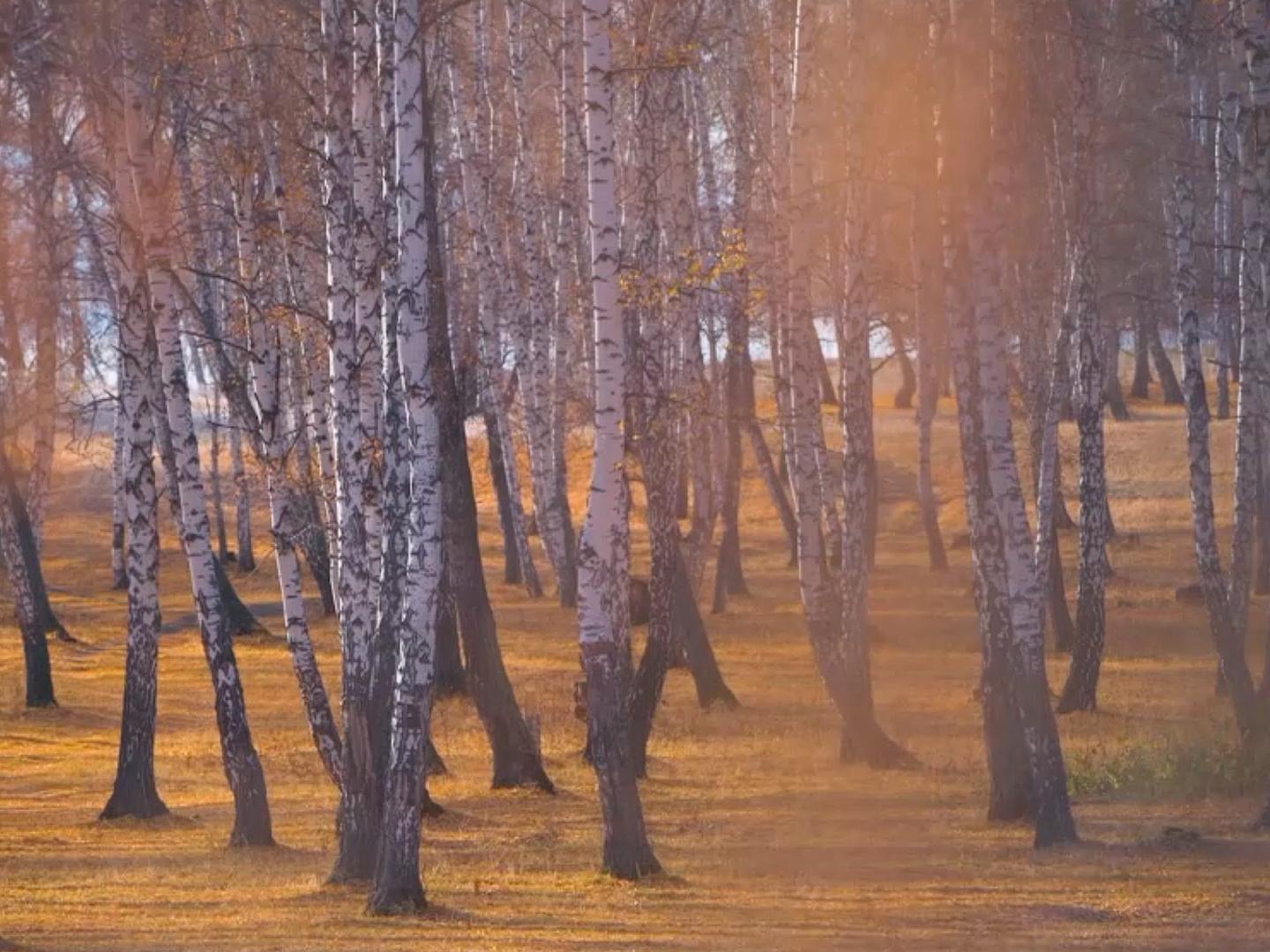 У озера Узункуль