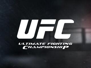 Смешанные единоборства. UFC 273. Александр Волкановски против Чэн Сон Джунга. Петр Ян против Алджэмейна Стерлинга