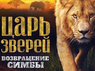 Царь зверей. Возвращение Симбы