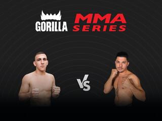 ММА Series Names. Г.Мишин vs Р.Пала