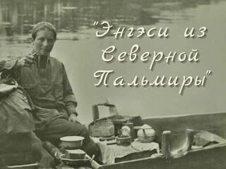 Энгэси из Северной Пальмиры