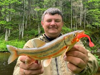 Необъятная рыбалка