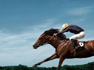 Скачки. День конного завода "Донской". Трансляция из Москвы