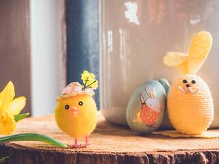 Космос мульт