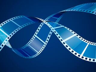 Дикая жизнь