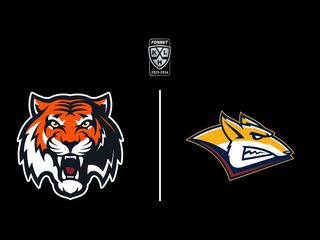 Фонбет Чемпионат КХЛ. "Амур" - "Металлург" (Мг)