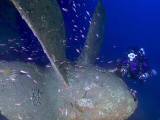 Кораблекрушения