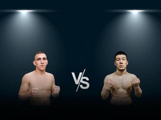 ММА Series Names. ММА Серия-51. Г.Мишин vs Е.Мейлийев