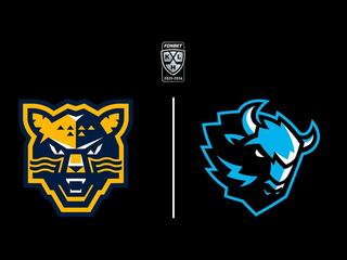 Фонбет Чемпионат КХЛ. ХК "Сочи" - "Динамо" (Минск)