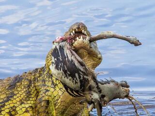 Моменты жизни