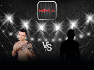 MMA Series Names. ММА - 7. А.Лебедев vs В.Петросян