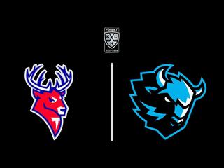 Фонбет Чемпионат КХЛ. "Торпедо" - "Динамо" (Минск)