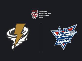 Olimpbet Чемпионат МХЛ. "Тайфун" - "Сахалинские Акулы"