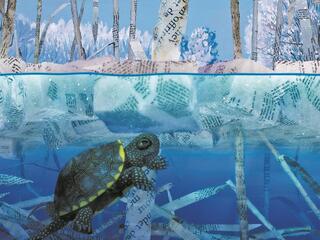 Здравствуй, Мир! (Фильм)