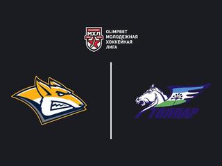 Olimpbet Чемпионат МХЛ. "Стальные Лисы" -"Толпар"
