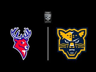 Фонбет Чемпионат КХЛ. "Торпедо" - ХК "Сочи"