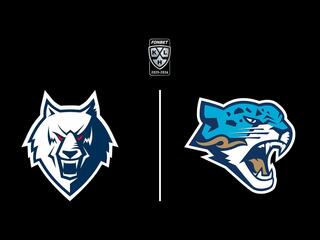 Фонбет Чемпионат КХЛ. "Нефтехимик" -"Барыс"