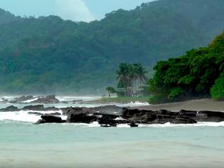 Приключения в джунглях Коста-Рики