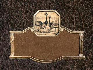 Захватывающие птицы Восточной Африки