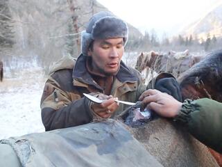 В заповедном Аргуте