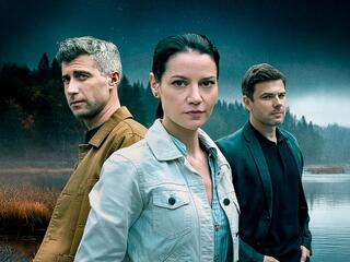 Женщина с котом и детективом