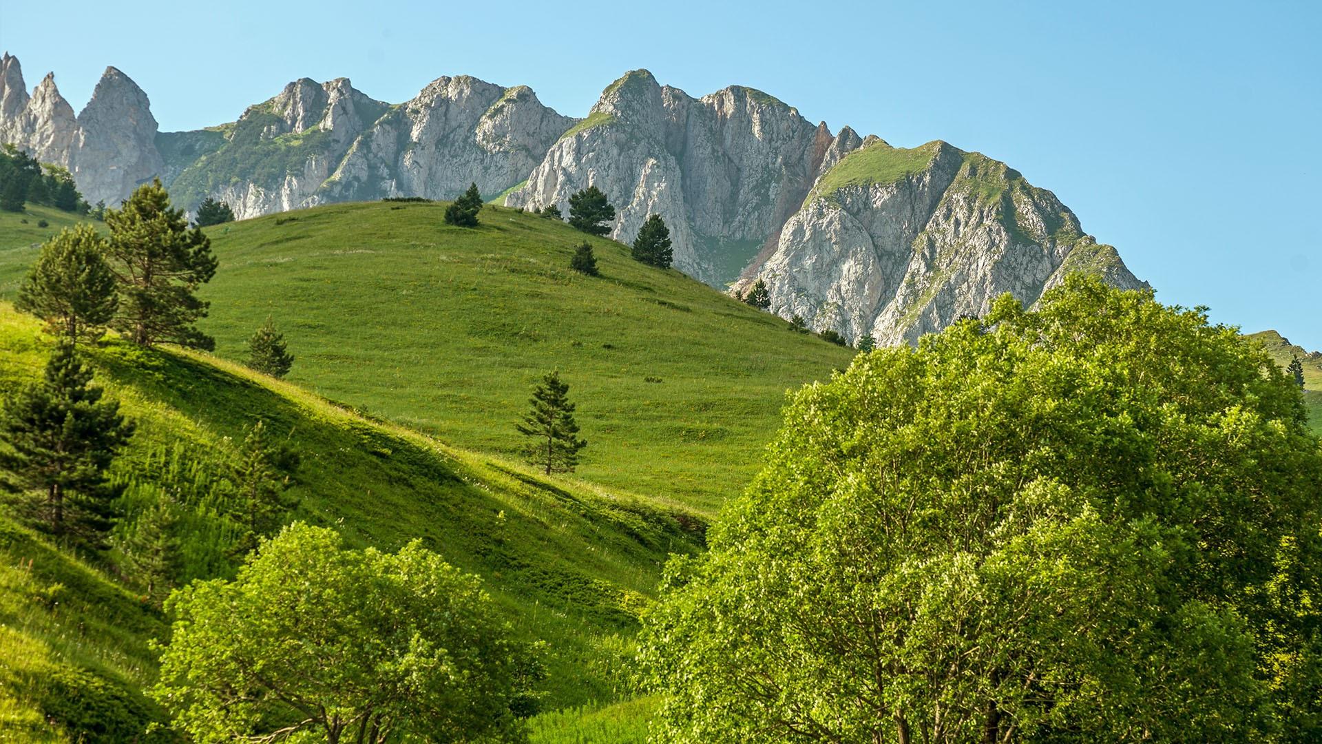 Горный лес Босния и Герцеговина