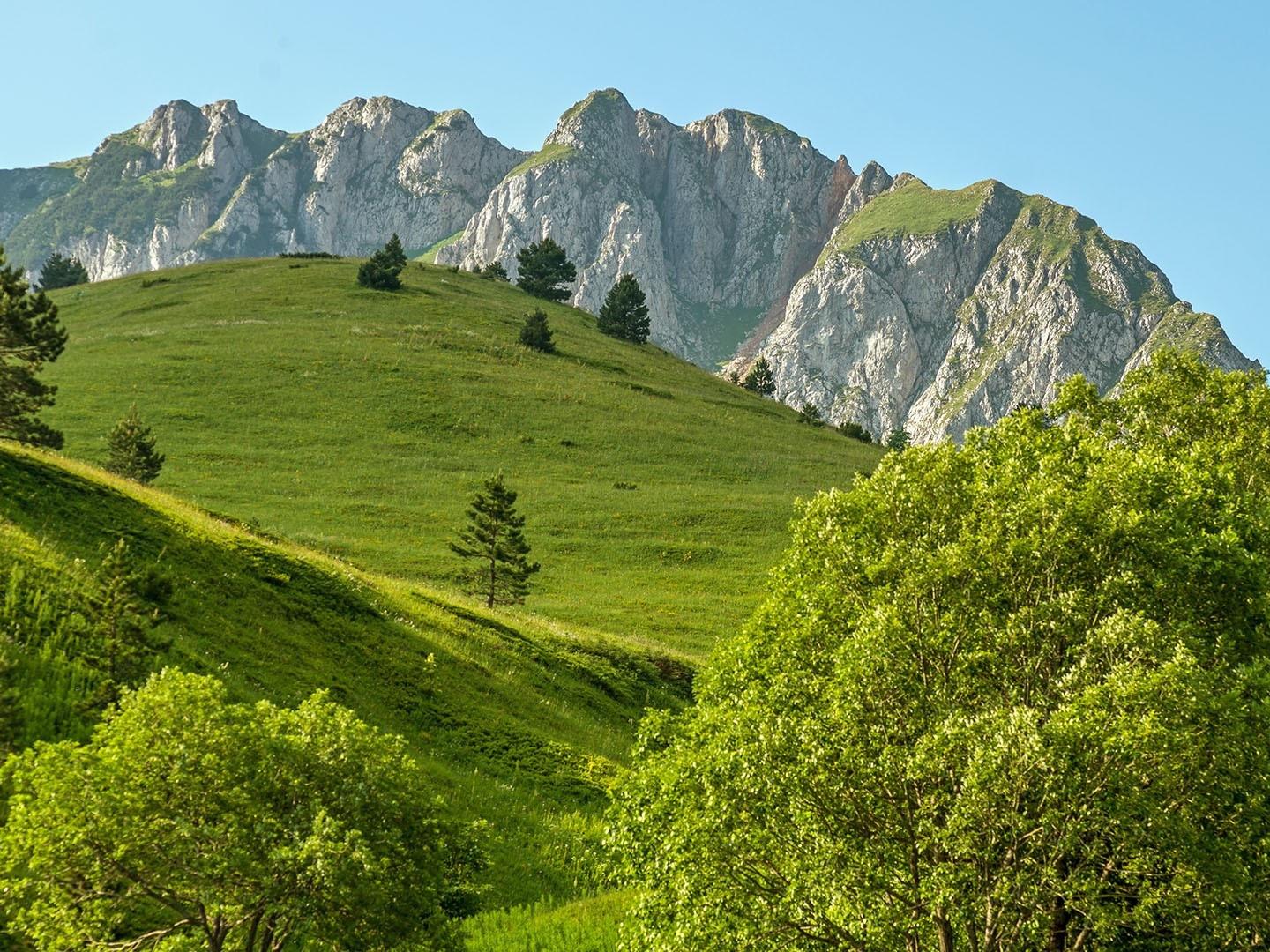 Горный лес Босния и Герцеговина