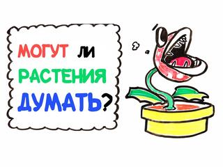 Могут ли растения думать?