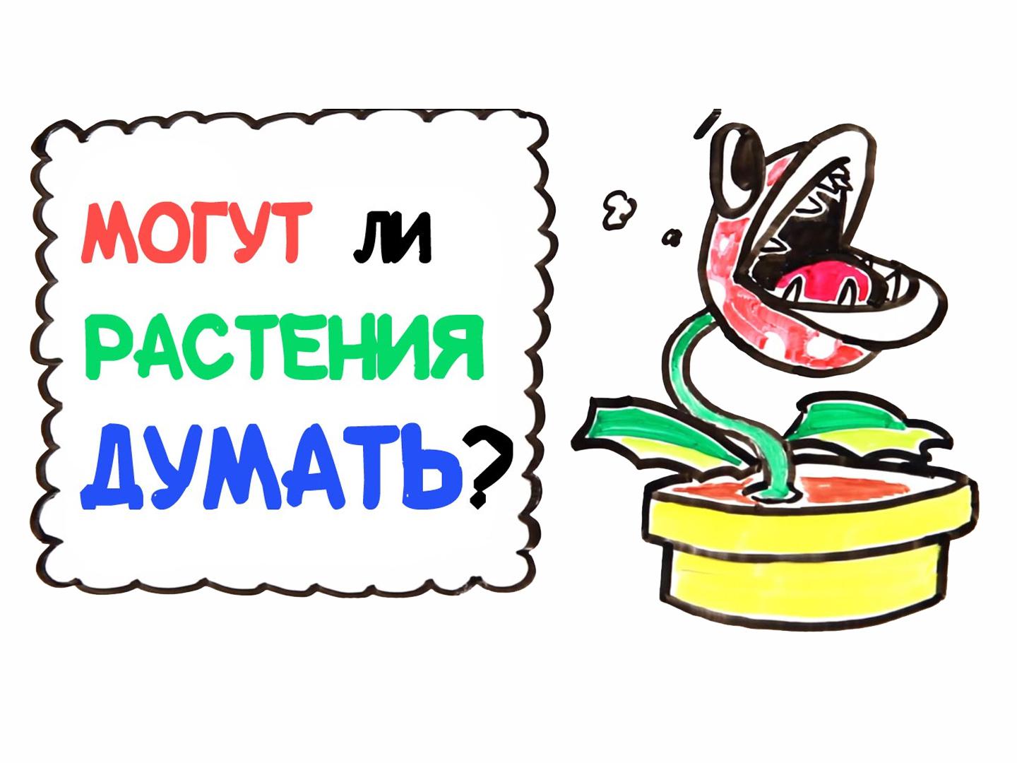 Могут ли растения думать?