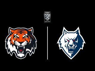 Фонбет Чемпионат КХЛ. "Амур" -"Нефтехимик"