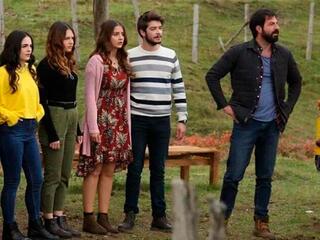 Полярная звезда