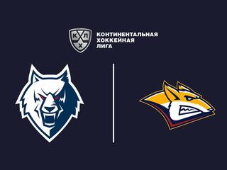 Фонбет Чемпионат КХЛ. "Нефтехимик" - "Металлург" (Мг)