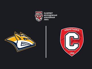 Olimpbet Чемпионат МХЛ. "Стальные лисы" -"Спутник"