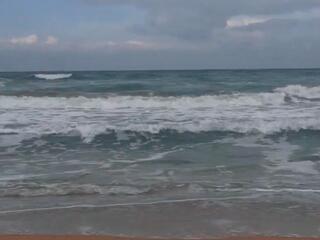 Сохраним Каспийского тюленя