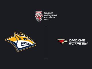 Olimpbet Чемпионат МХЛ. "Стальные Лисы" -"Омские Ястребы"