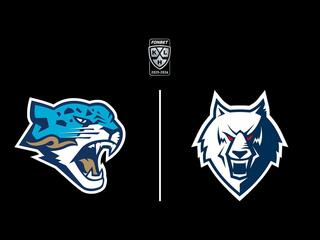 Фонбет Чемпионат КХЛ. "Барыс" -"Нефтехимик"