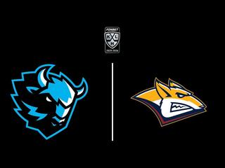 Фонбет Чемпионат КХЛ. "Динамо" (Минск) -"Металлург" (Мг)