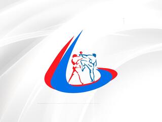 Смешанные единоборства. Всероссийский турнир по универсальному бою памяти Новикрва