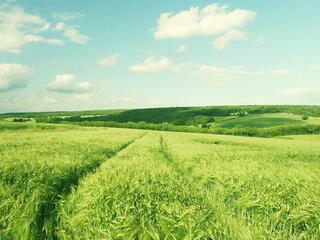 Почините природу