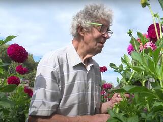 Волшебник цветочного города