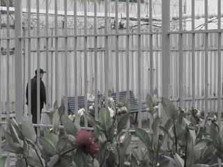 Жизнь после тюрьмы