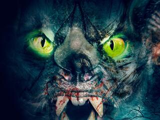 Летучие мыши: Пробуждение