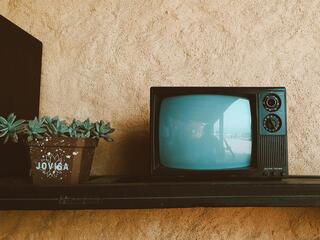 Звуки азиатского леса