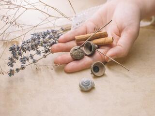 В мире цветов