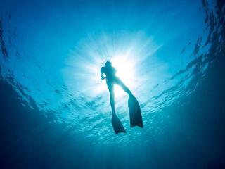 Что такое фридайвинг