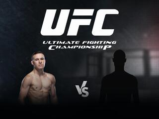 Смешанные единоборства. UFC. Кай Кара-Франс против Амира Альбази