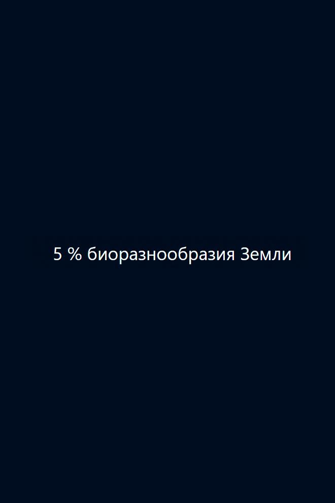 5 % биоразнообразия Земли